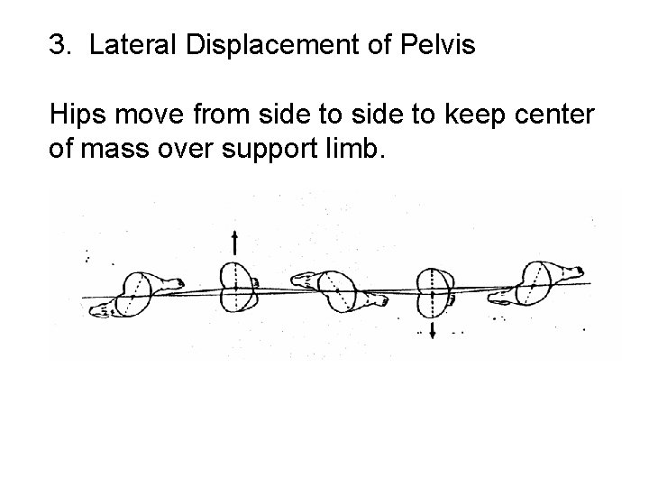 3. Lateral Displacement of Pelvis Hips move from side to keep center of mass