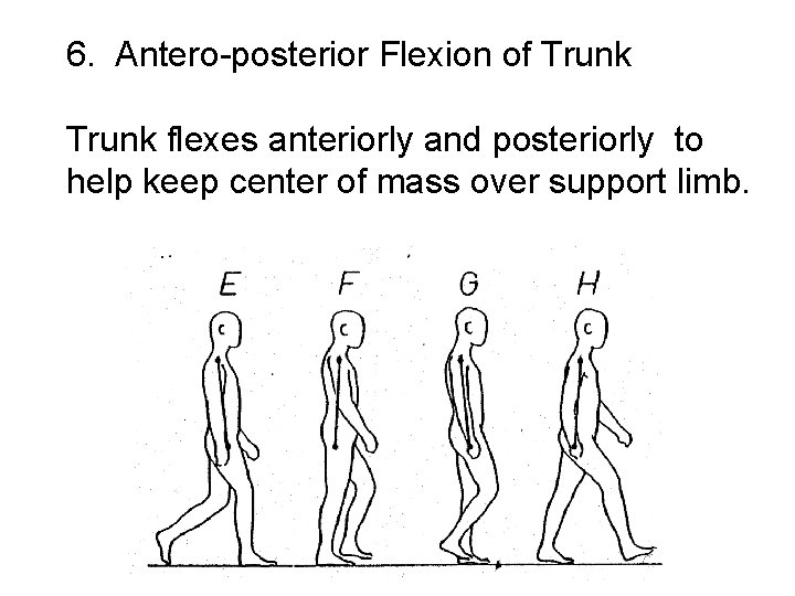 6. Antero-posterior Flexion of Trunk flexes anteriorly and posteriorly to help keep center of