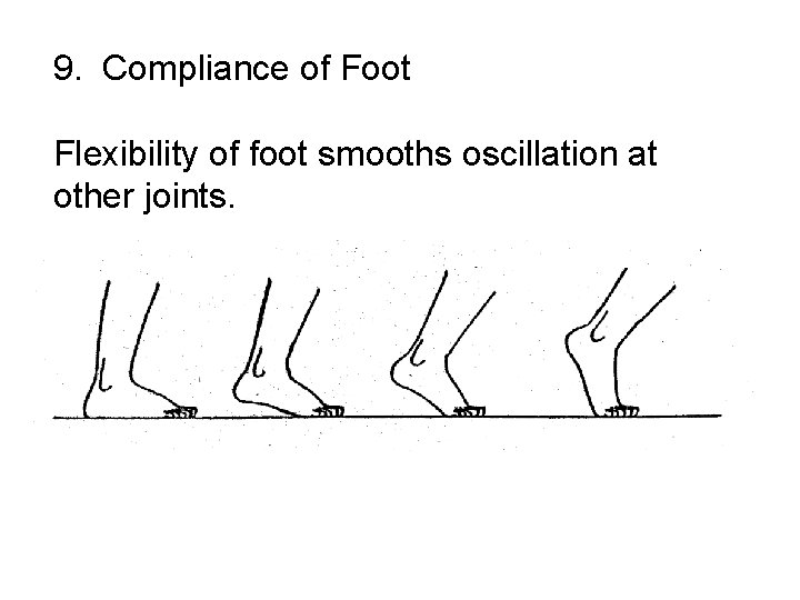 9. Compliance of Foot Flexibility of foot smooths oscillation at other joints. 