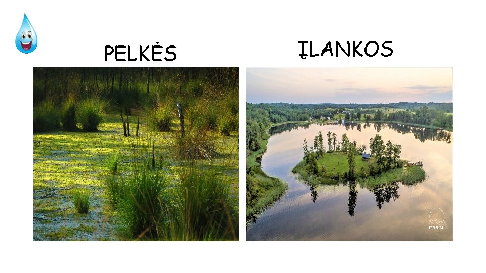 PELKĖS ĮLANKOS 