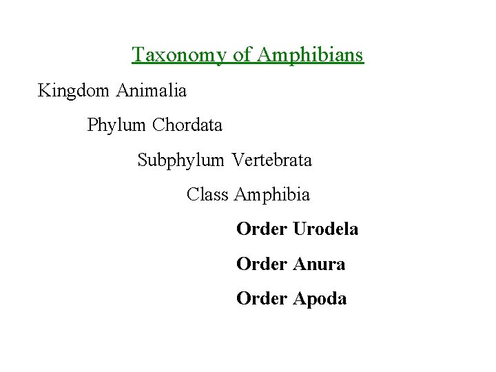 Taxonomy of Amphibians Kingdom Animalia Phylum Chordata Subphylum Vertebrata Class Amphibia Order Urodela Order