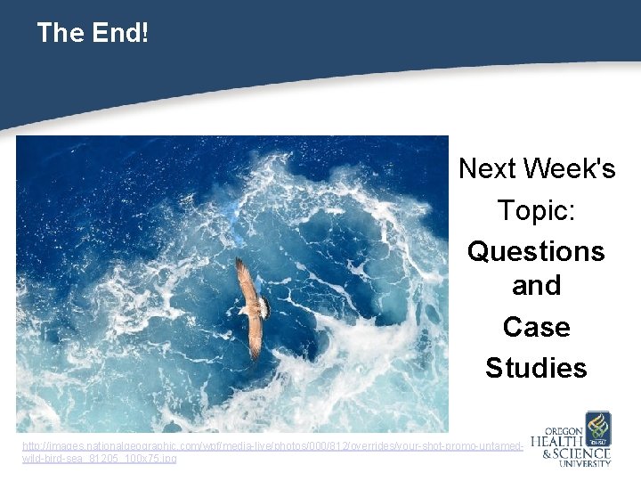The End! Next Week's Topic: Questions and Case Studies http: //images. nationalgeographic. com/wpf/media-live/photos/000/812/overrides/your-shot-promo-untamedwild-bird-sea_81205_100 x