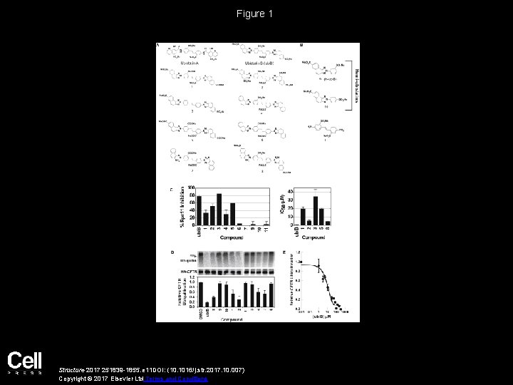 Figure 1 Structure 2017 251839 -1855. e 11 DOI: (10. 1016/j. str. 2017. 10.