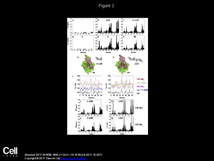 Figure 2 Structure 2017 251839 -1855. e 11 DOI: (10. 1016/j. str. 2017. 10.