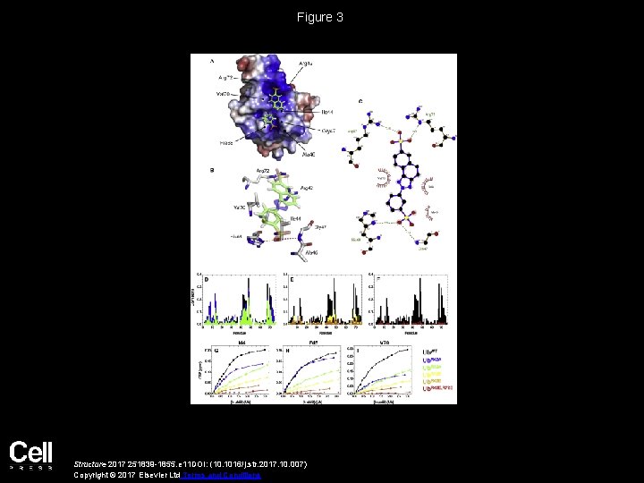 Figure 3 Structure 2017 251839 -1855. e 11 DOI: (10. 1016/j. str. 2017. 10.