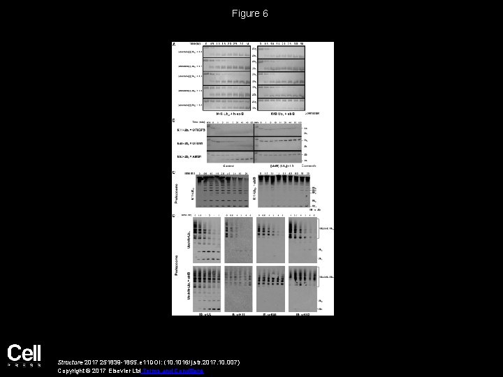 Figure 6 Structure 2017 251839 -1855. e 11 DOI: (10. 1016/j. str. 2017. 10.