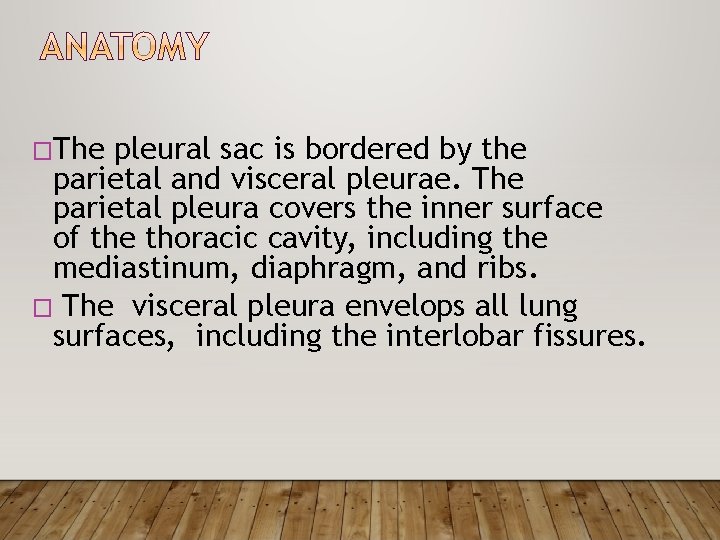 �The pleural sac is bordered by the parietal and visceral pleurae. The parietal pleura
