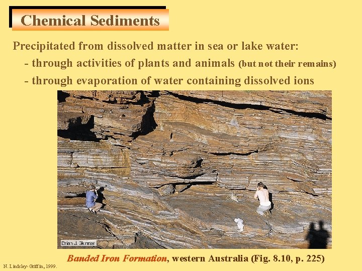 Chemical Sediments Precipitated from dissolved matter in sea or lake water: - through activities