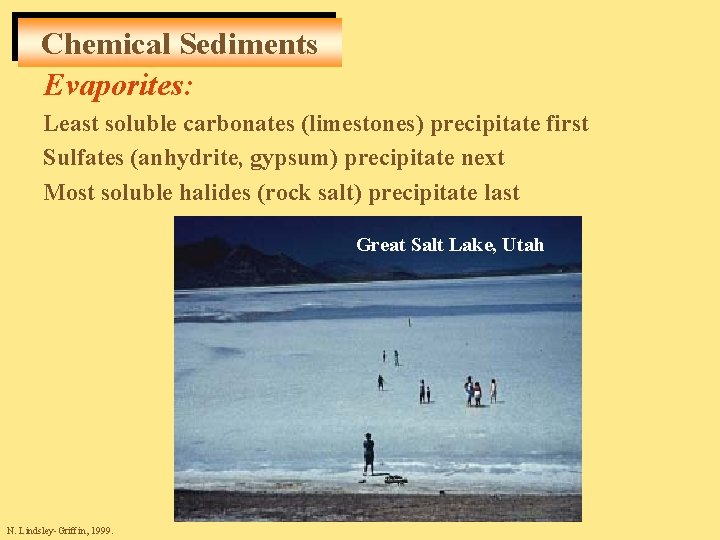 Chemical Sediments Evaporites: Least soluble carbonates (limestones) precipitate first Sulfates (anhydrite, gypsum) precipitate next