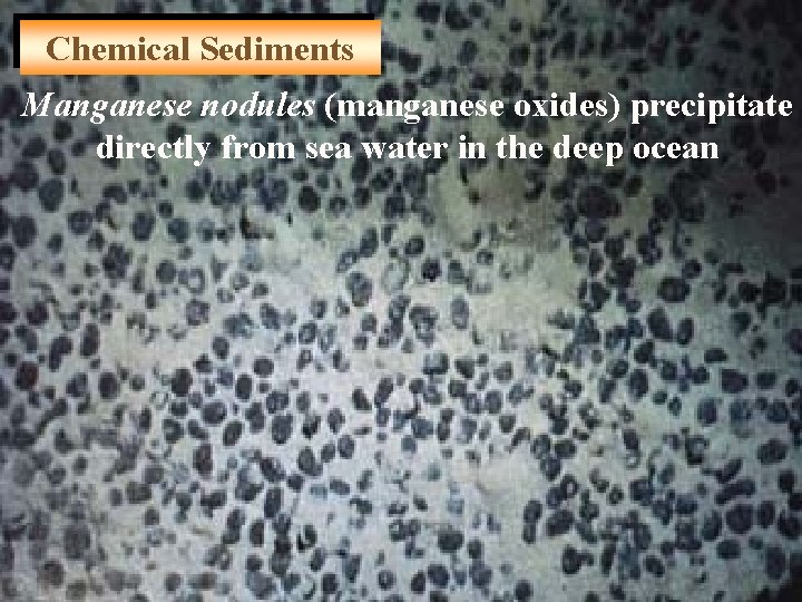 Chemical Sediments Manganese nodules (manganese oxides) precipitate directly from sea water in the deep