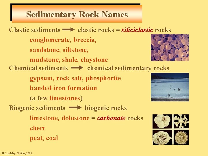 Sedimentary Rock Names Clastic sediments clastic rocks = siliciclastic rocks conglomerate, breccia, sandstone, siltstone,