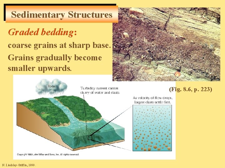 Sedimentary Structures Graded bedding: coarse grains at sharp base. Grains gradually become smaller upwards.