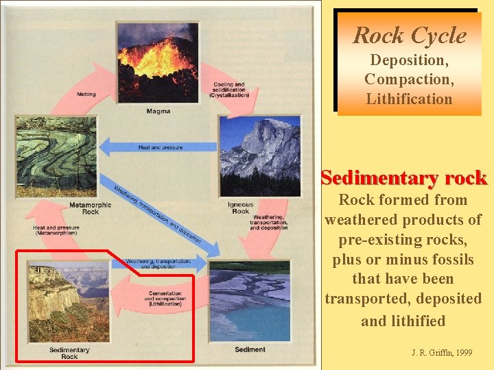 Rock Cycle Deposition, Compaction, Lithification Sedimentary rock Rock formed from weathered products of pre-existing