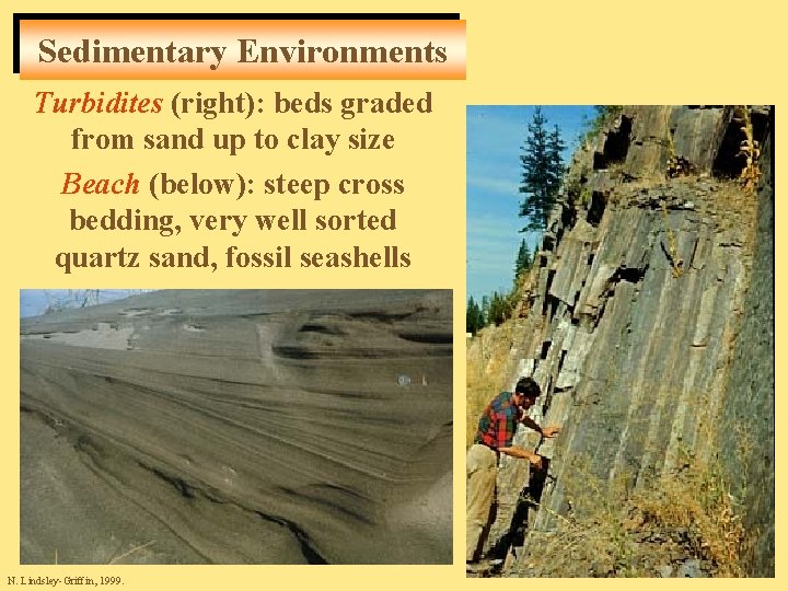 Sedimentary Environments Turbidites (right): beds graded from sand up to clay size Beach (below):