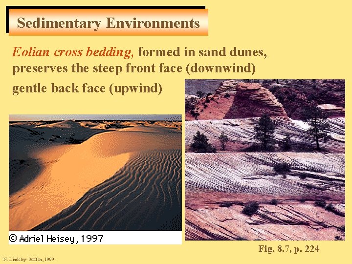 Sedimentary Environments Eolian cross bedding, formed in sand dunes, preserves the steep front face
