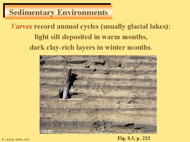 Sedimentary Environments Varves record annual cycles (usually glacial lakes): light silt deposited in warm