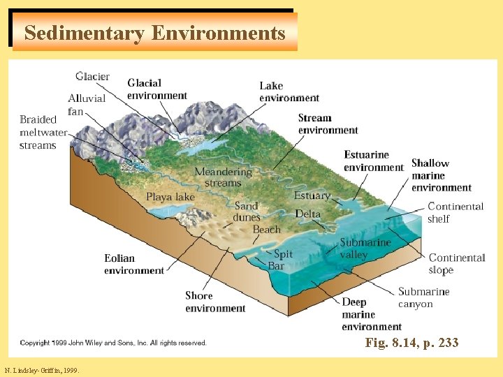 Sedimentary Environments Fig. 8. 14, p. 233 N. Lindsley-Griffin, 1999. 
