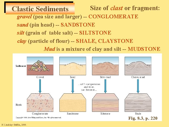 Clastic Sediments Size of clast or fragment: gravel (pea size and larger) -- CONGLOMERATE