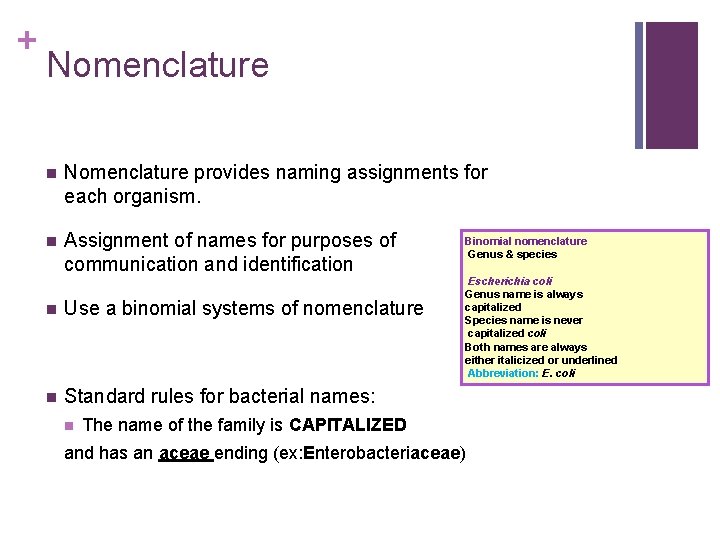 + Nomenclature n Nomenclature provides naming assignments for each organism. n Assignment of names