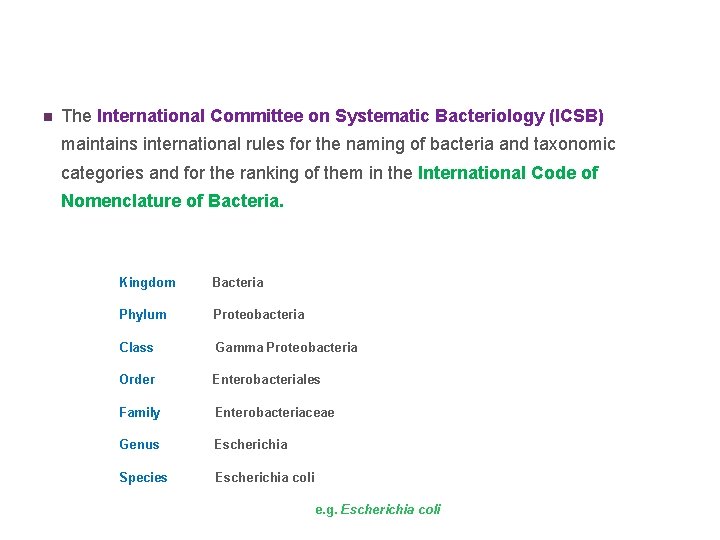 n The International Committee on Systematic Bacteriology (ICSB) maintains international rules for the naming