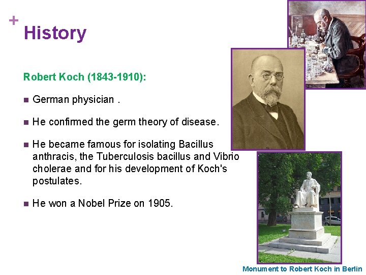 + History Robert Koch (1843 -1910): n German physician. n He confirmed the germ