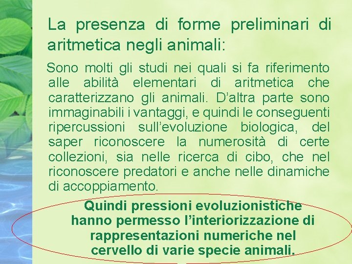 La presenza di forme preliminari di aritmetica negli animali: Sono molti gli studi nei