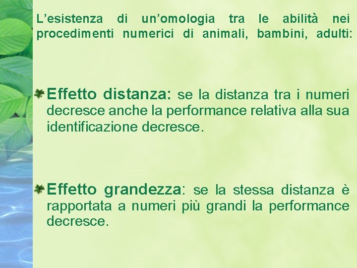 L’esistenza di un’omologia tra le abilità nei procedimenti numerici di animali, bambini, adulti: Effetto