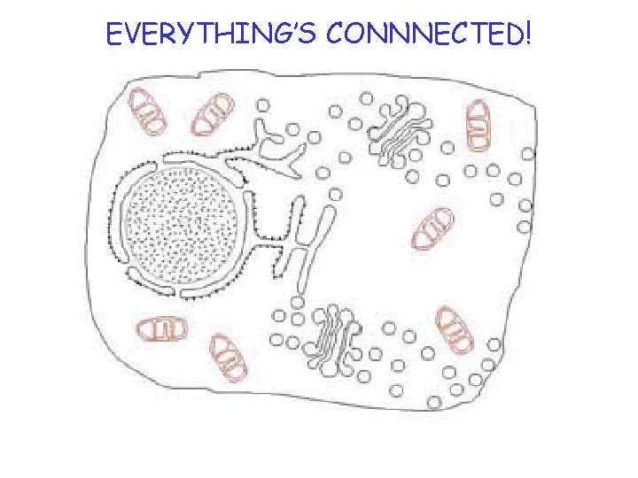 EVERYTHING’S CONNNECTED! 