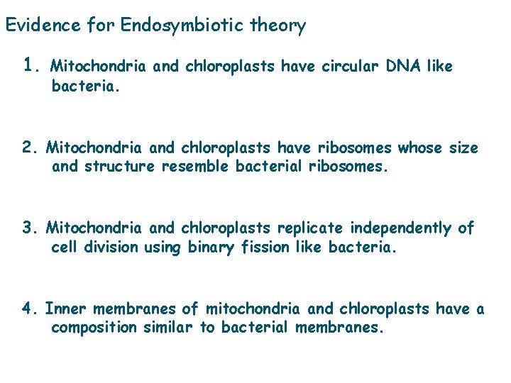 Evidence for Endosymbiotic theory 1. Mitochondria and chloroplasts have circular DNA like bacteria. 2.