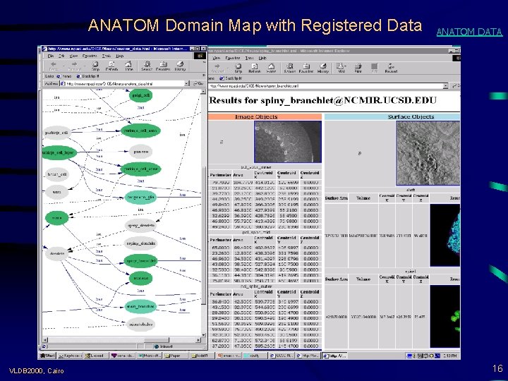 ANATOM Domain Map with Registered Data VLDB 2000, Cairo ANATOM DATA 16 