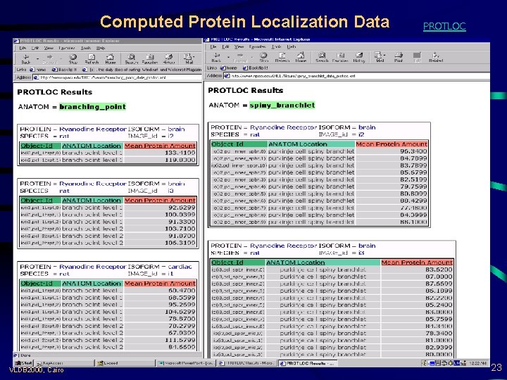 Computed Protein Localization Data VLDB 2000, Cairo PROTLOC 23 