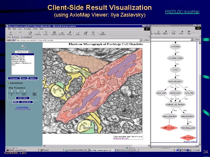 Client-Side Result Visualization (using Axio. Map Viewer: Ilya Zaslavsky) VLDB 2000, Cairo PROTLOC-Axio. Map