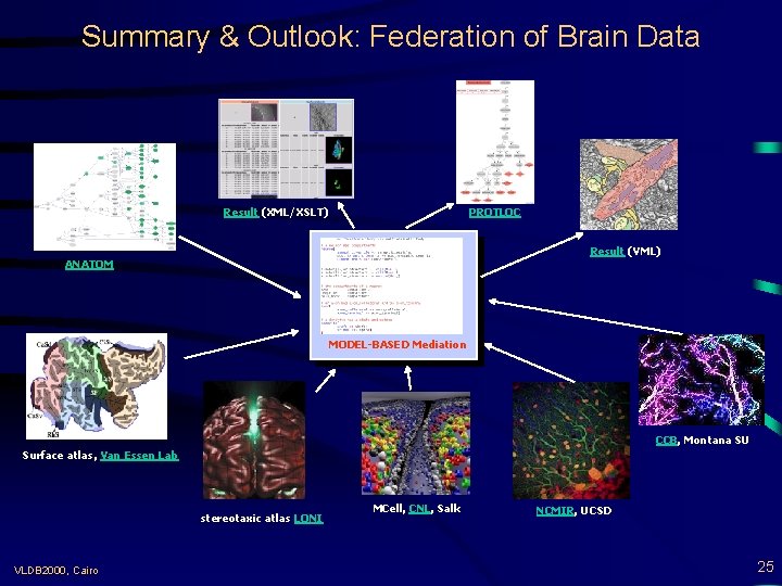 Summary & Outlook: Federation of Brain Data Result (XML/XSLT) PROTLOC Result (VML) ANATOM MODEL-BASED