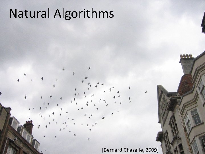 Natural Algorithms [Bernard Chazelle, 2009] 