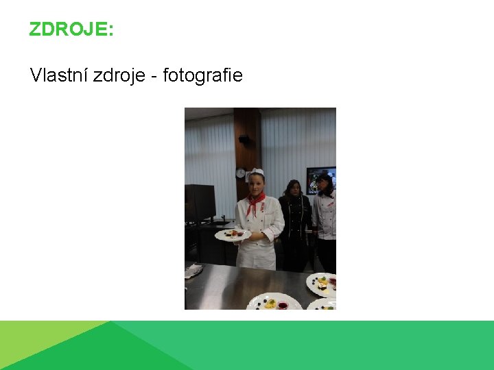 ZDROJE: Vlastní zdroje - fotografie 