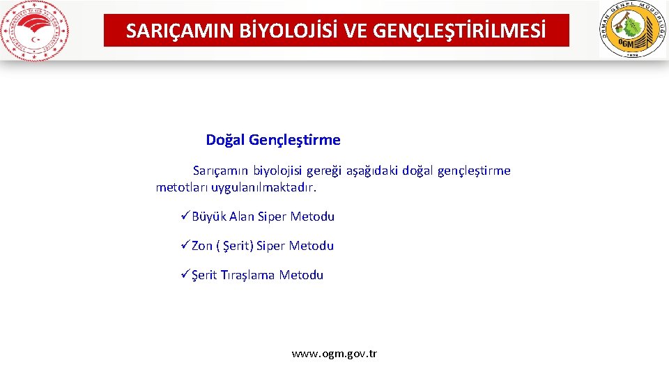 SARIÇAMIN BİYOLOJİSİ VE GENÇLEŞTİRİLMESİ Doğal Gençleştirme Sarıçamın biyolojisi gereği aşağıdaki doğal gençleştirme metotları uygulanılmaktadır.