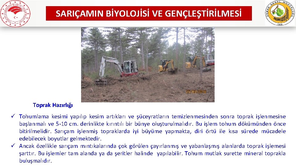 SARIÇAMIN BİYOLOJİSİ VE GENÇLEŞTİRİLMESİ Toprak Hazırlığı ü Tohumlama kesimi yapılıp kesim artıkları ve şüceyratların