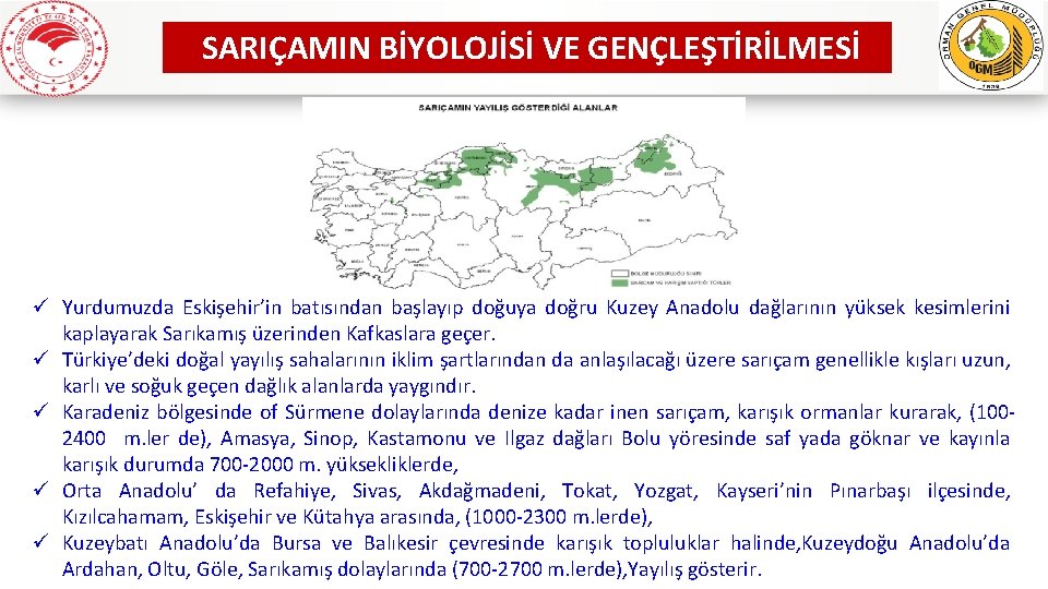 SARIÇAMIN BİYOLOJİSİ VE GENÇLEŞTİRİLMESİ ü Yurdumuzda Eskişehir’in batısından başlayıp doğuya doğru Kuzey Anadolu dağlarının