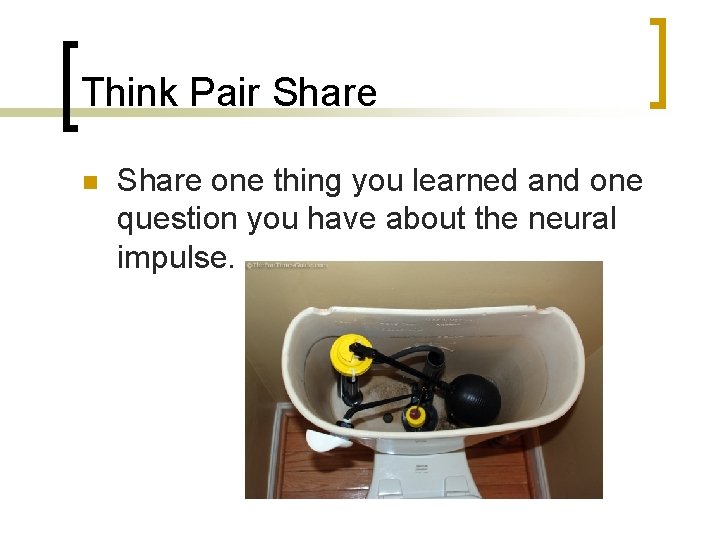 Think Pair Share n Share one thing you learned and one question you have