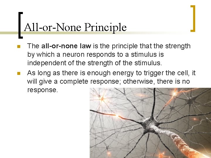 All-or-None Principle n n The all-or-none law is the principle that the strength by