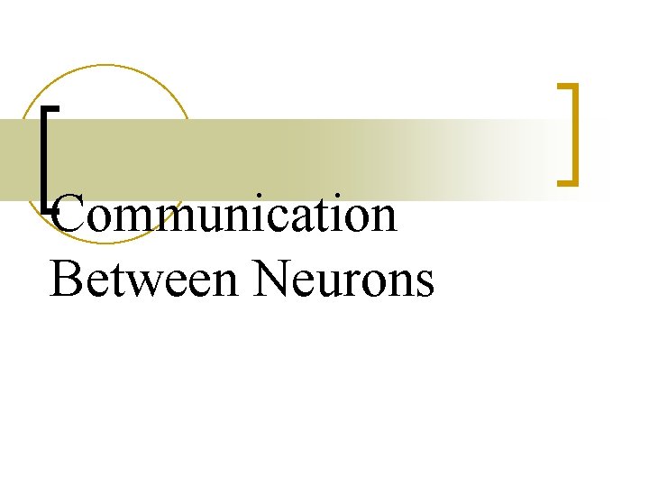 Communication Between Neurons 