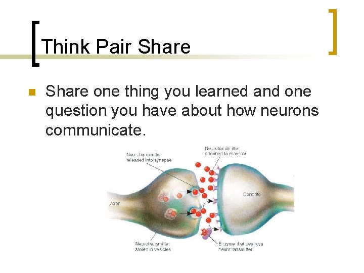 Think Pair Share n Share one thing you learned and one question you have