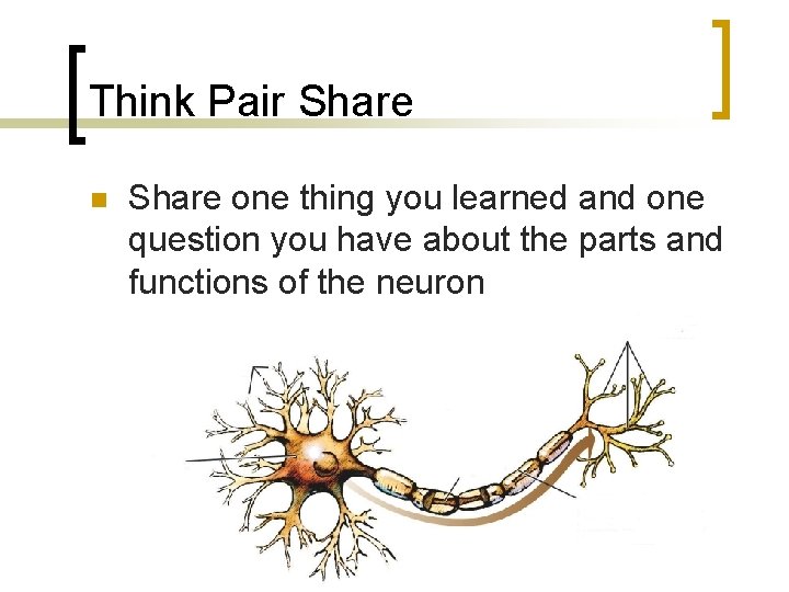 Think Pair Share n Share one thing you learned and one question you have