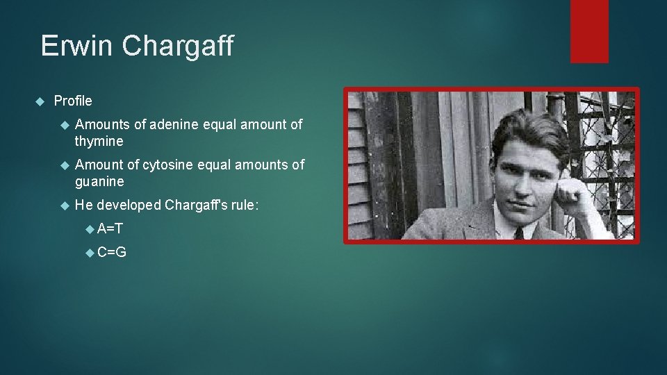 Erwin Chargaff Profile Amounts of adenine equal amount of thymine Amount of cytosine equal