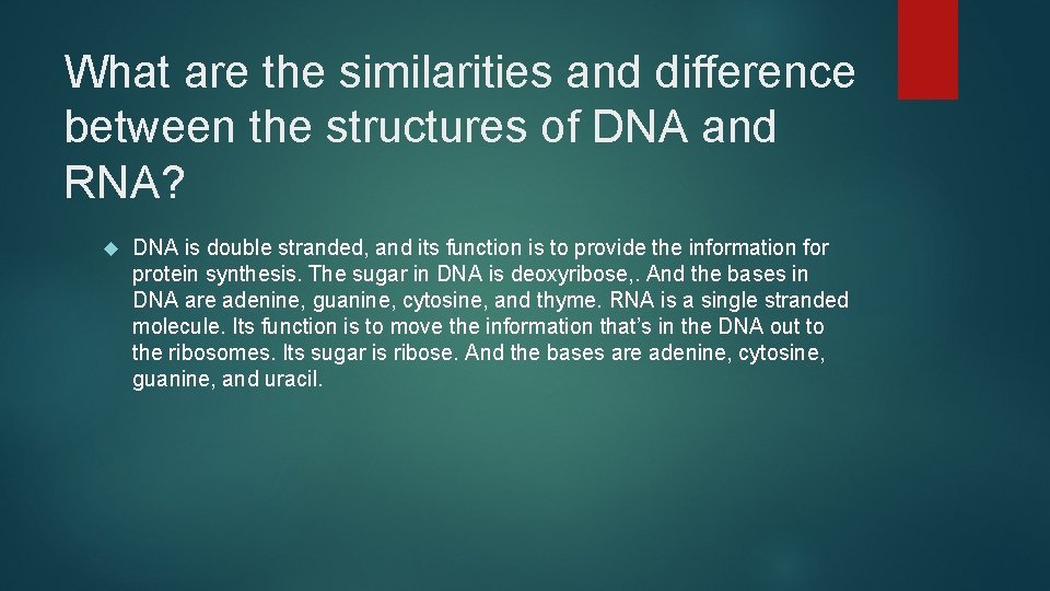 What are the similarities and difference between the structures of DNA and RNA? DNA