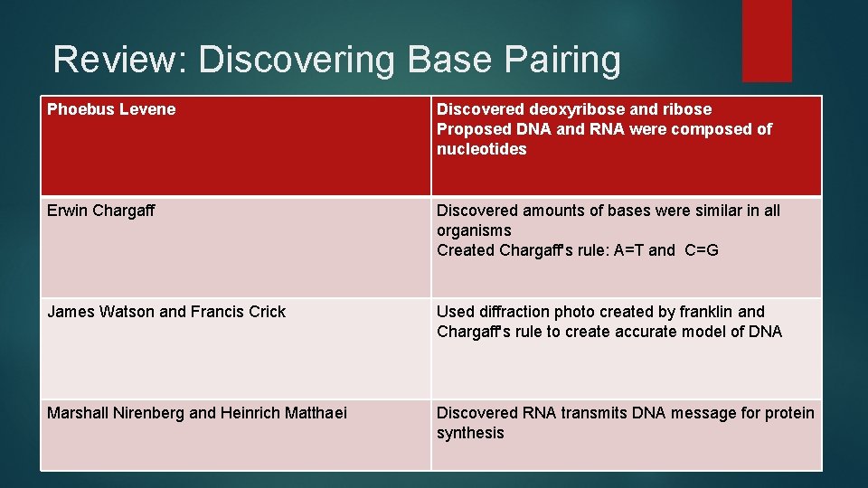 Review: Discovering Base Pairing Phoebus Levene Discovered deoxyribose and ribose Proposed DNA and RNA