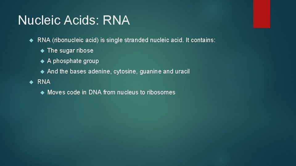 Nucleic Acids: RNA (ribonucleic acid) is single stranded nucleic acid. It contains: The sugar