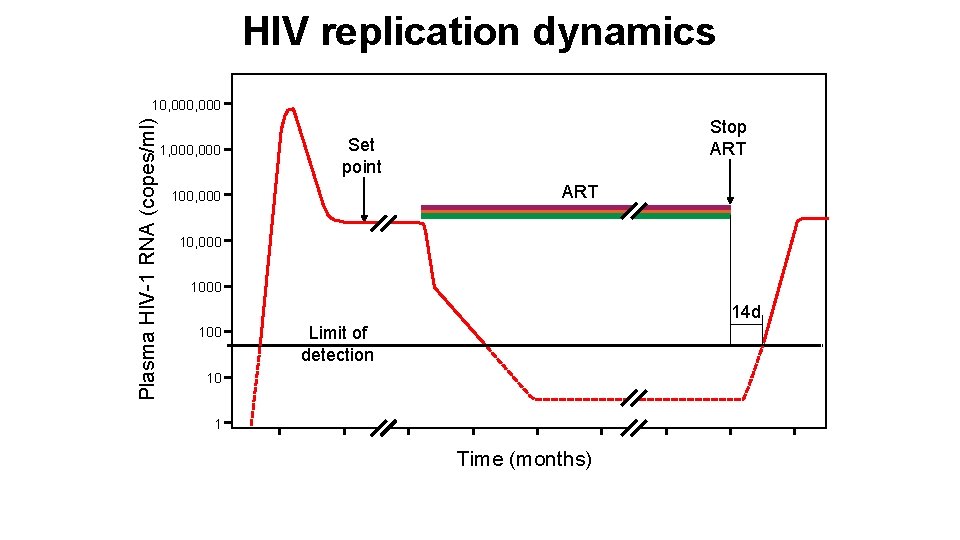 HIV replication dynamics Plasma HIV-1 RNA (copes/ml) 10, 000 1, 000 Stop ART Set