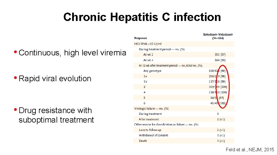 Chronic Hepatitis C infection • Continuous, high level viremia • Rapid viral evolution •
