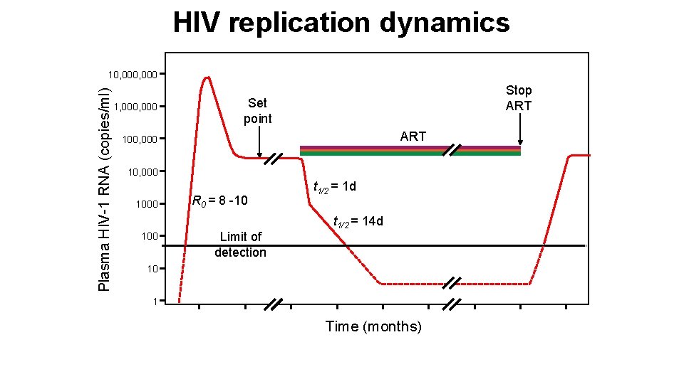 HIV replication dynamics Plasma HIV-1 RNA (copies/ml) 10, 000 1, 000 Stop ART Set